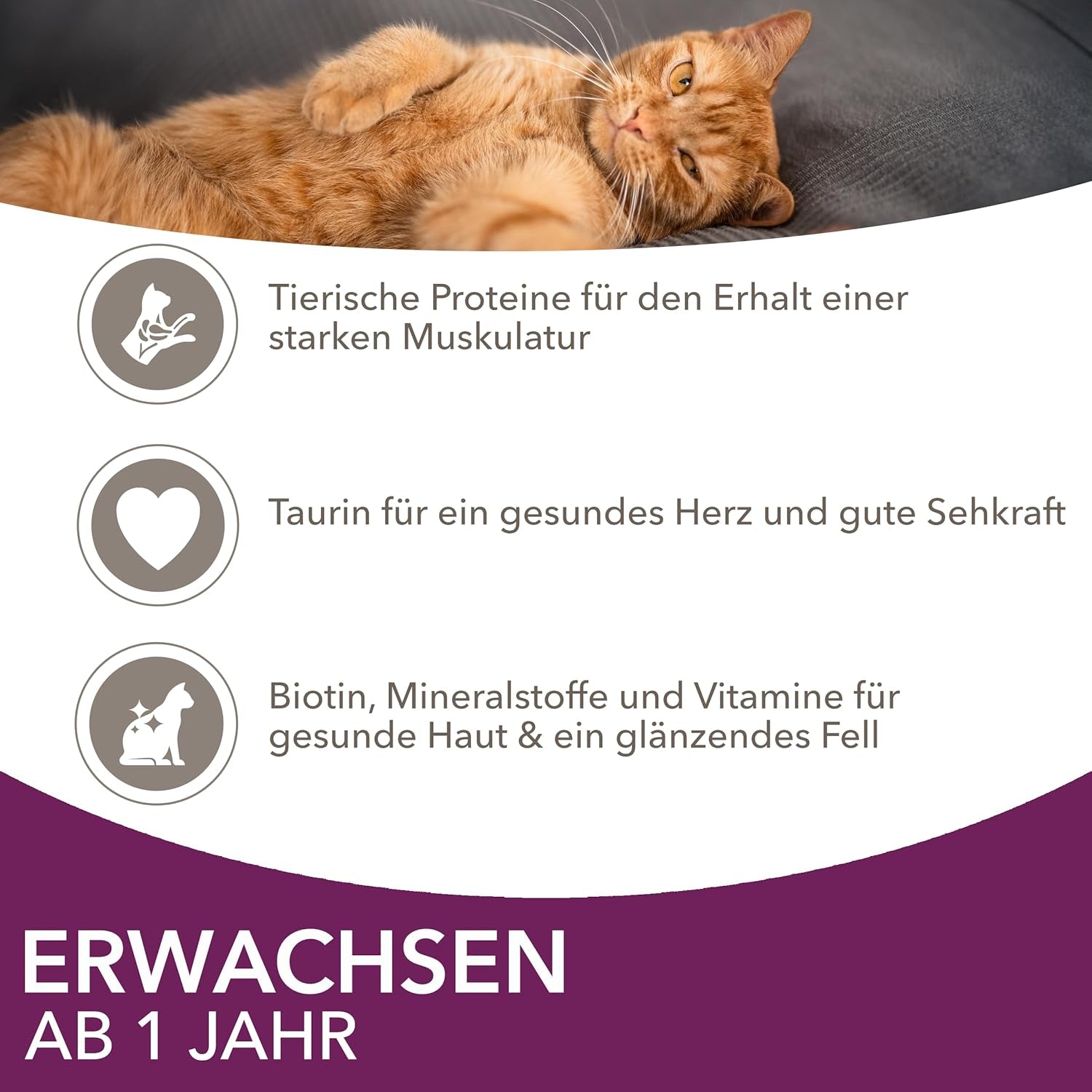 IAMS Delights Land & Sea Collection Nassfutter für Katzen – Fleisch- und Fischsortiment, Multipack in Soße, Nassfutter für Katzen ab 1 Jahr, 12 x 85 g