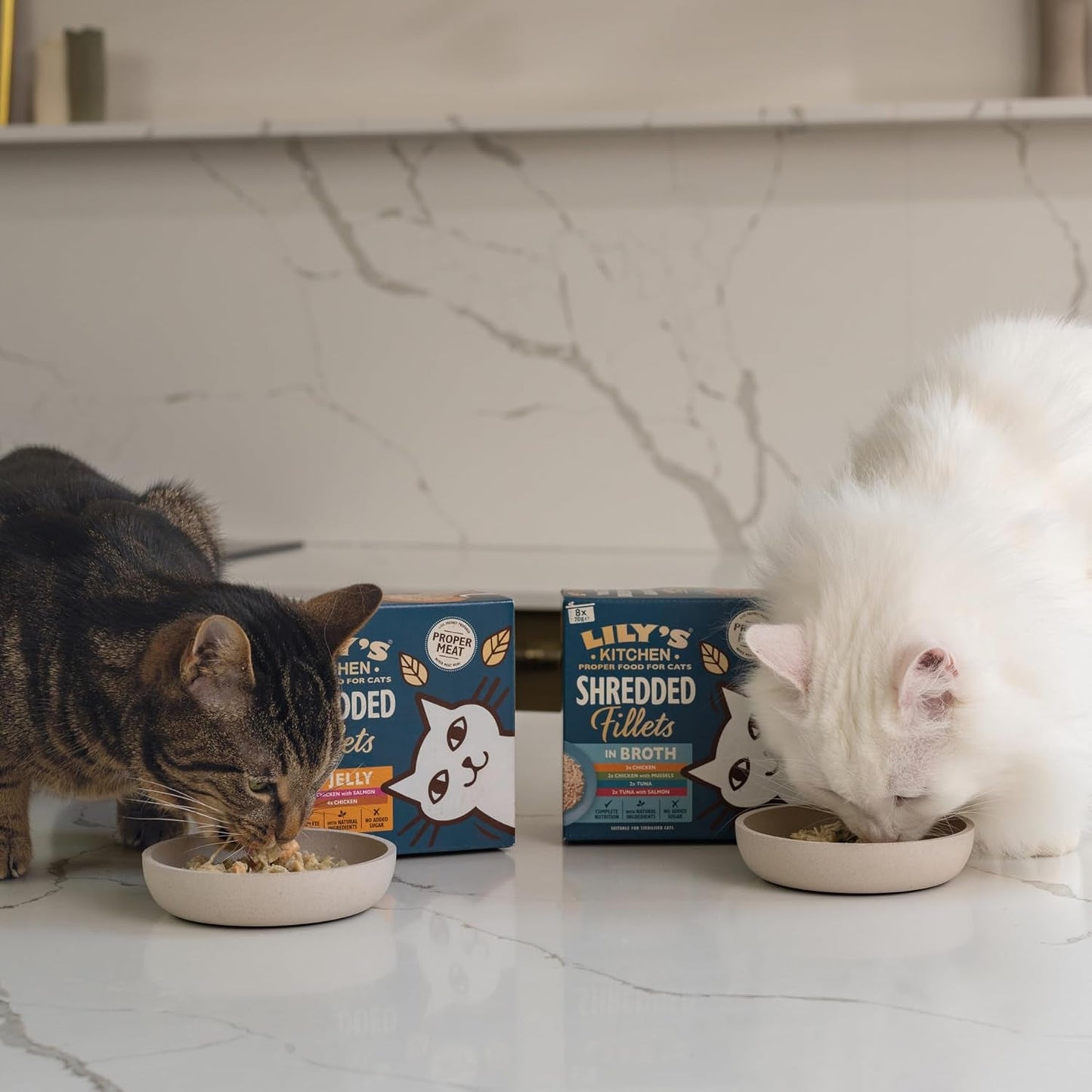 Lily's Kitchen Aus Naturichen Ingredient hermestellung Zerkleinerte Filets in Gelee mit Hühnchen und Lachs Ausgewachsenes Nassfutter für Katzen 70 g Dose