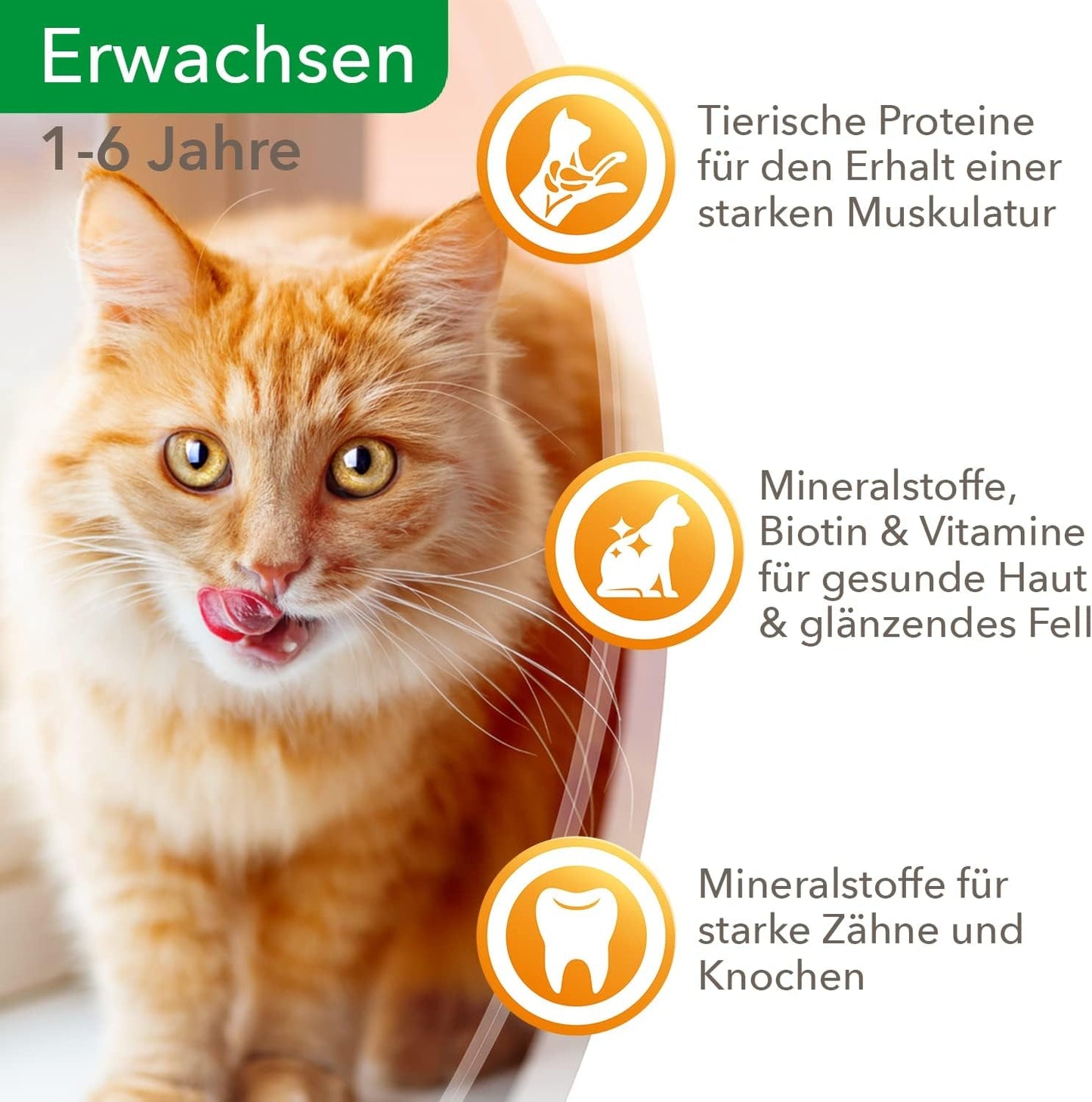 IAMS Delights Nassfutter für Katzen mit saftigem Rindfleisch und gelierten Karotten – Komplettes Nassfutter für ausgewachsene Katzen, 24 Beutel x 85 g