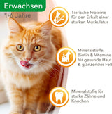 IAMS Delights Nassfutter für Katzen mit saftigem Rindfleisch und gelierten Karotten – Komplettes Nassfutter für ausgewachsene Katzen, 24 Beutel x 85 g