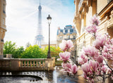 Ravensburger Puzzle 12000366 – Frühling in Paris – 500-teiliges Puzzle für Erwachsene und Kinder ab 12 Jahren. Puzzle Naty Shop Scenic