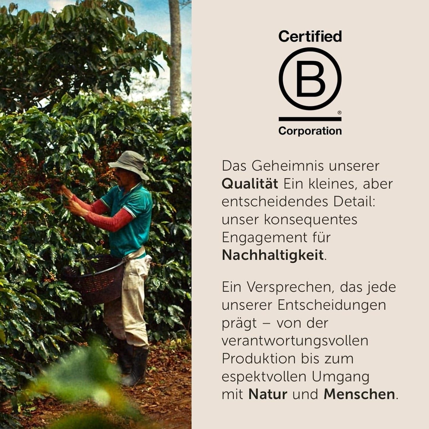 illy, Kompatible Aluminium-Kaffeekapseln CLASSICO, 100 % Arabica mit Noten von Orangenblüten und Jasmin, süßer Geschmack und süßer Nachgeschmack, 10 Packungen à 10 Kapseln (insgesamt 100)
