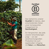 illy, Kompatible Aluminium-Kaffeekapseln CLASSICO, 100 % Arabica mit Noten von Orangenblüten und Jasmin, süßer Geschmack und süßer Nachgeschmack, 10 Packungen à 10 Kapseln (insgesamt 100)