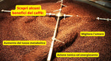 Caffè New York - XXXX - Kaffee aus ganzen Bohnen - 1000g