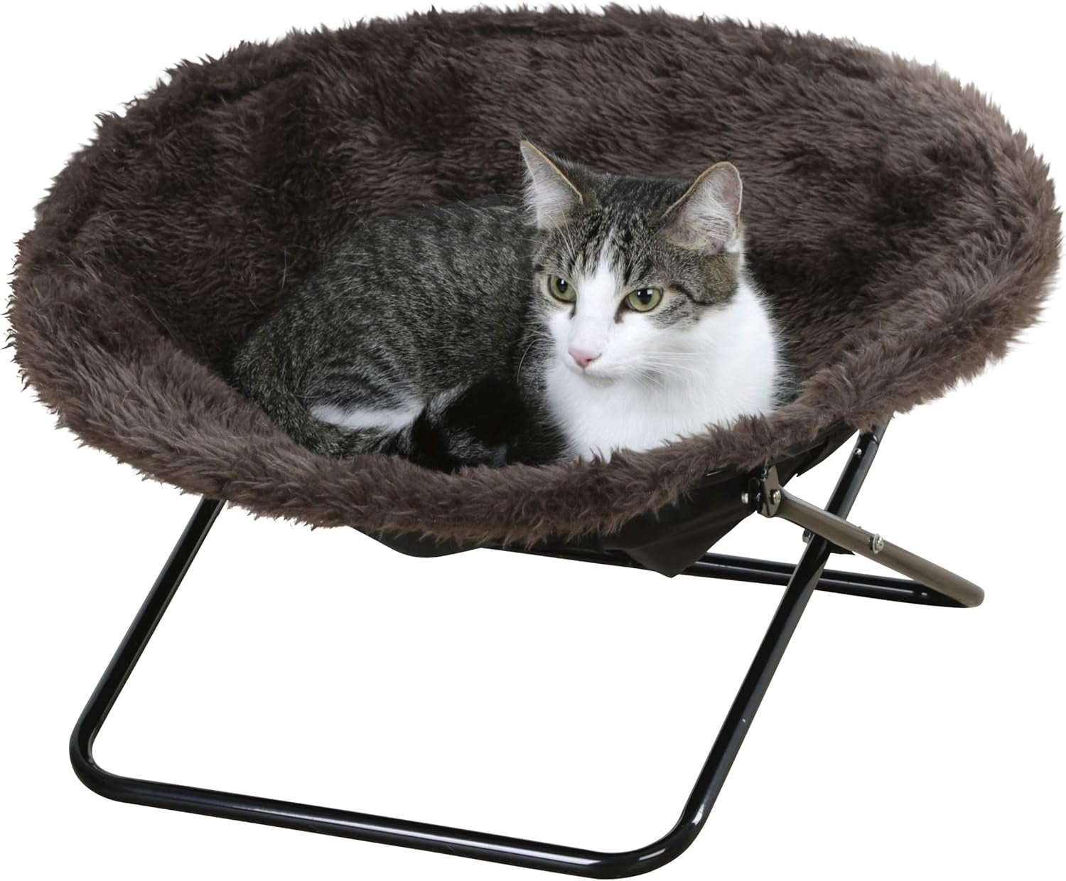 Decken und Möbel, Haustiere, Katzen, Betten für Katzen, Katzenbetten, Matratzen, Sofas