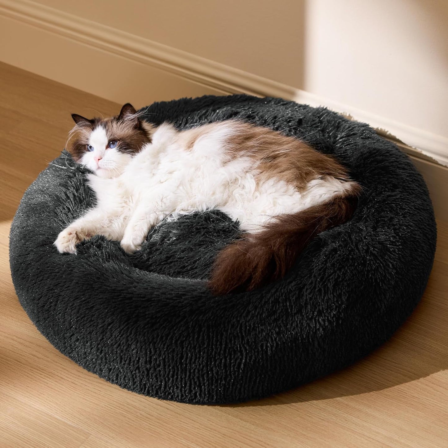 Betten, Decken & Möbel, Haustiere, Katzen, Katzenbetten, Katzenbetten, Matratzen