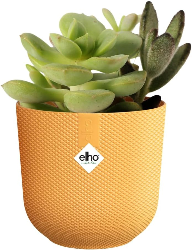 elho Jazz Round Mini 7 cm – Blumentöpfe für den Innenbereich – 100 % recycelter Kunststoff – Ø 7 x H 6,5 cm – Gelb/Bernstein