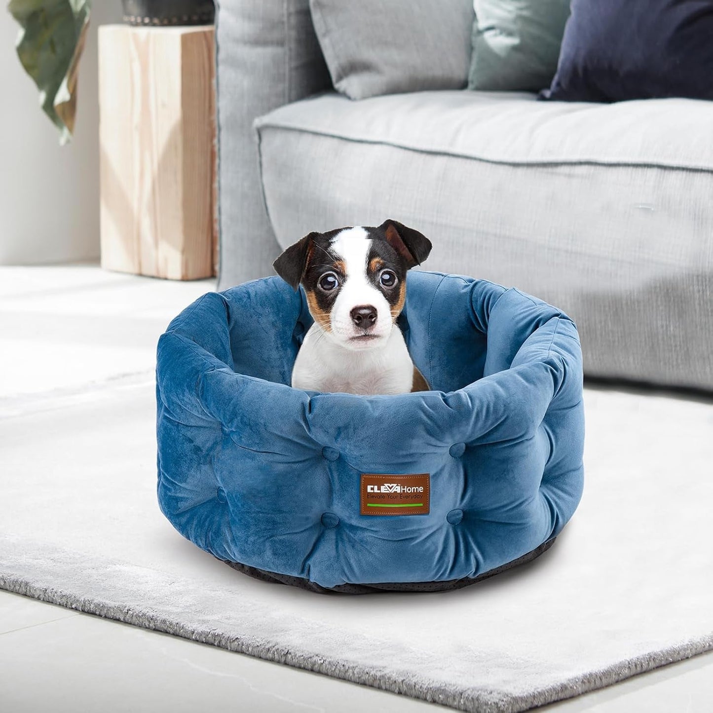 Betten und Sofas, Decken und Möbel, Haustiere, Katzen, Betten für Katzen, Katzenbetten, Matratzen
