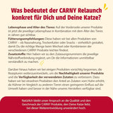 animonda Carny Adult Savory Variety (12 x 400 g), Nassfutter für ausgewachsene Katzen, Nassfutter mit 100 % Frischfleischzutaten, getreidefrei und zuckerfrei