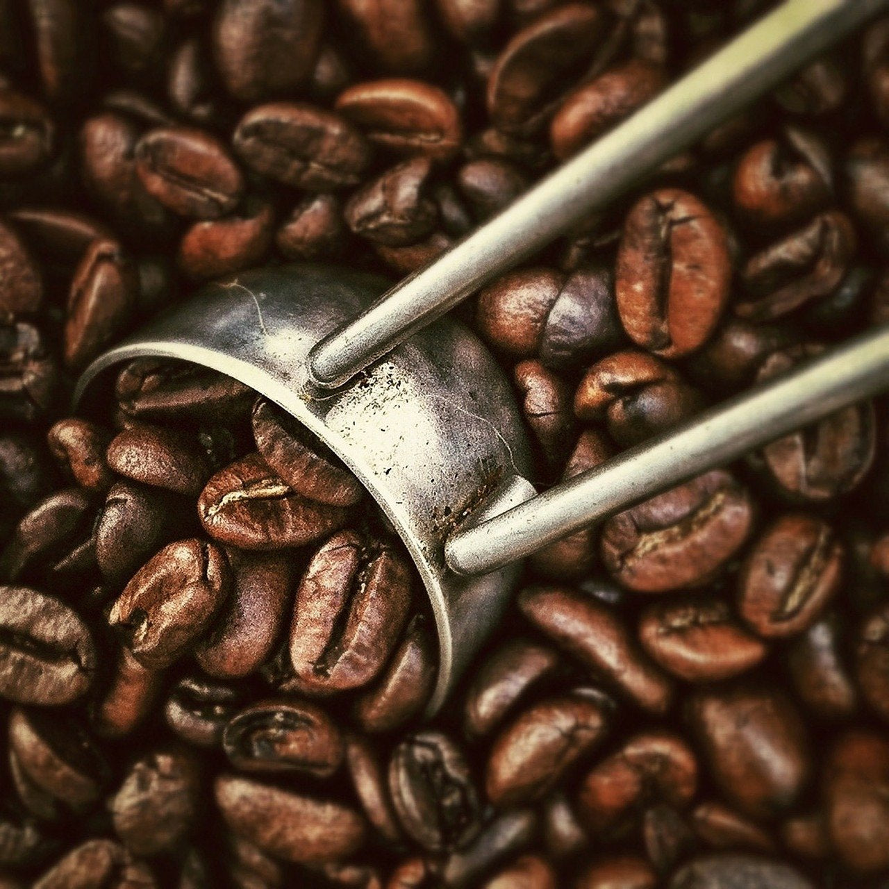 Kaffee mit aromatischen Haselnüssen, 3 ganze Bohnen à 1000 g