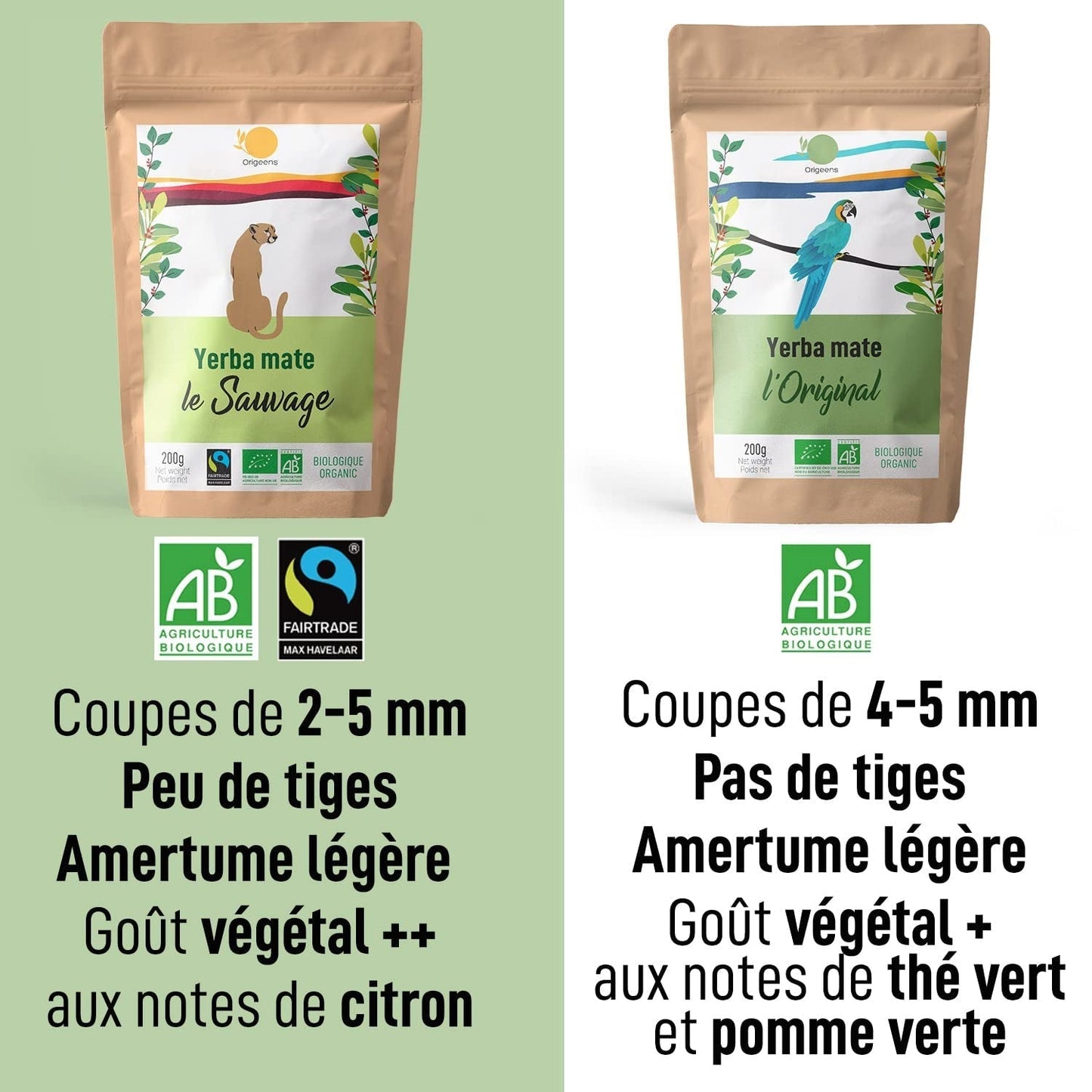 ORIGEENS BIO YERBA MATE TEE 200G – Das Original I Bio Yerba Mate ungeröstet, Blätter, ohne Stiele, Staub und Krümel I Energetisierendes und entgiftendes Getränk