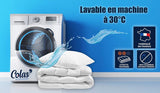 COLAS NORMAND Steppdecke, milbenhemmend und antibakteriell, leicht, 260 x 240 cm, langanhaltende Wirkung, perfekte Hygiene, Mikrofaser, weich und bequem, waschbar, weiß 53130250 Steppdecken und Steppdecken Naty Shop