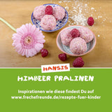 FRECHE FREUNDE Bio-Fruchtgelees, Apfel-, Himbeer- und Reislutscher, fruchtig-süßer Snack für Kinder, glutenfrei, vegan, 20er Pack (20 x 30 g)