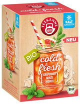 Teekanne Cold & Fresh BIO 4Er Mix – Mit den neuen Sorten Zitrone-Minze, Pfirsich-Maracuja, Orange-Rosmarin, Grapefruit-Minze-Ingwer (4 X 45G)