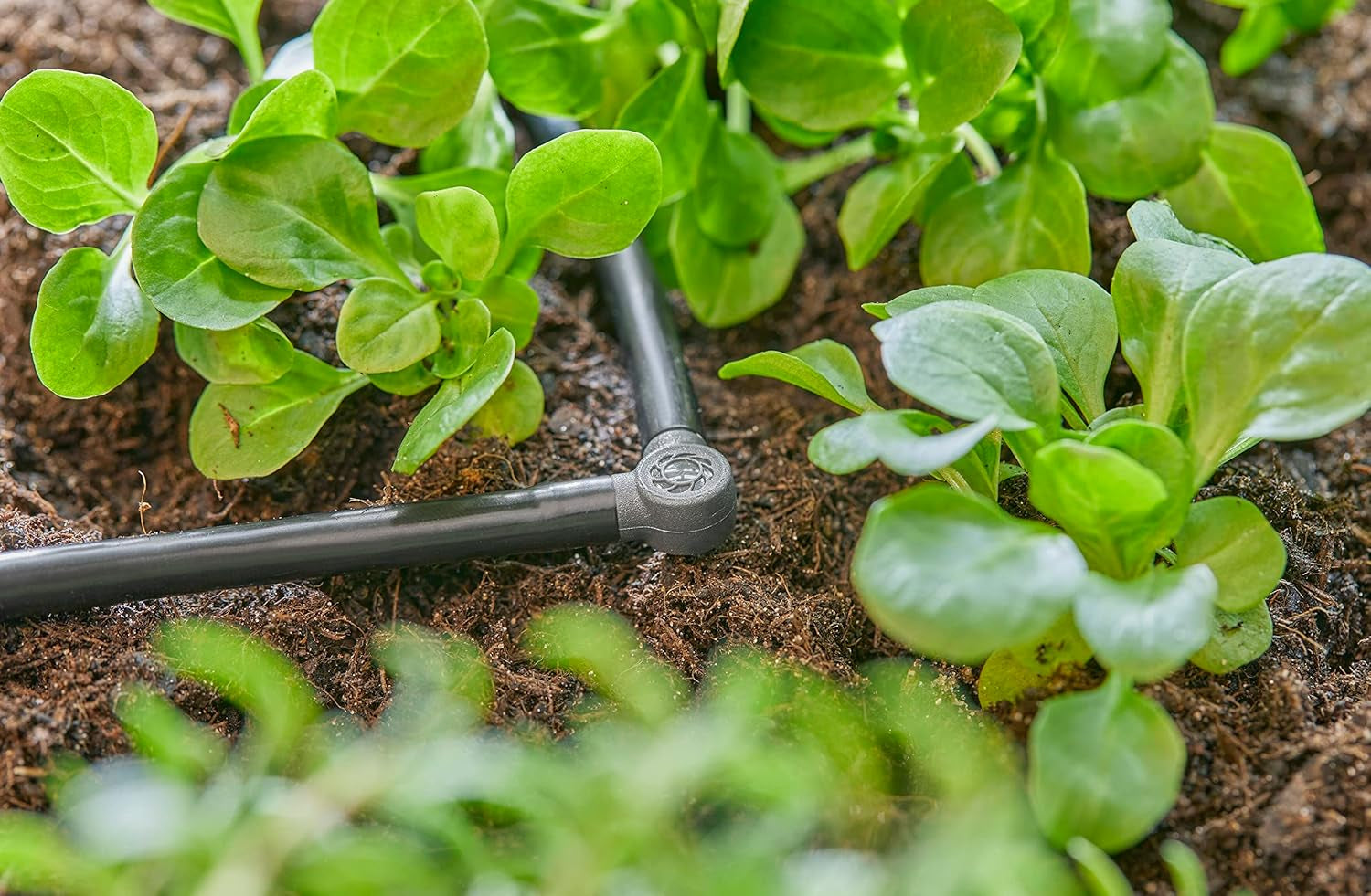 L-Stück für Gardena Micro-Drip 4,6 mm (3/16 Zoll): Zur Änderung der Verteilungsrichtung und der Tropfleitungen um 90 Grad, knickfreie Installation, einfache und flexible Verbindungstechnik (13212-20)