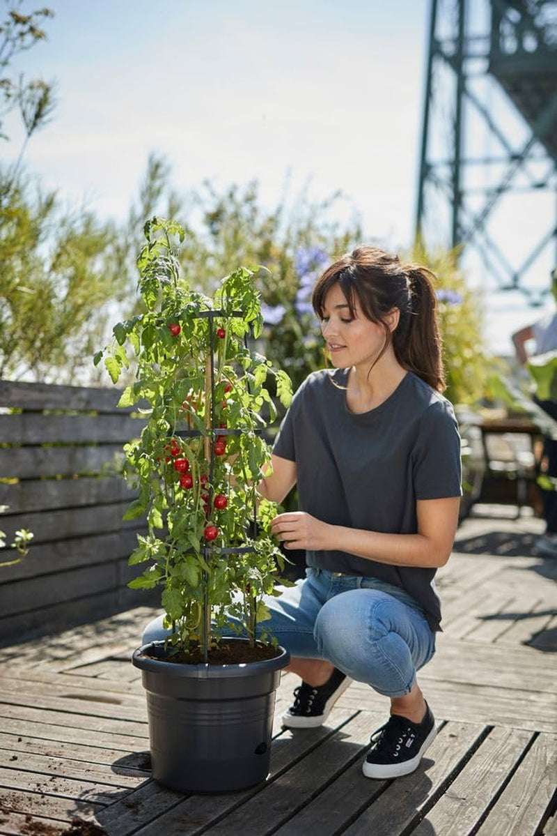 elho Green Basics Tomatentöpfe 33 – Blumentöpfe für den Anbau und die Ernte im Freien – Ø 33,5 x H 26,0 cm – Schwarz/Vivid Black