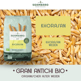 Bio-Penne-Rigate-Nudeln N.91 – 500 g aus Khorasan-Weizen – Uralter Weizen, reich an Proteinen, 100 % in Italien angebaut – Vielseitig in der Küche und reich an Nährstoffen
