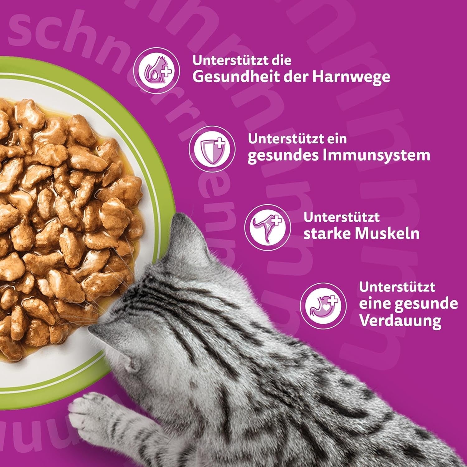 Whiskas Senior 7+ Nassfutter Gemischte Auswahl in Gelee, 84 Beutel, 84x85g (1 Großpackung) – Hochwertiges Nassfutter für Katzen ab 7 Jahren