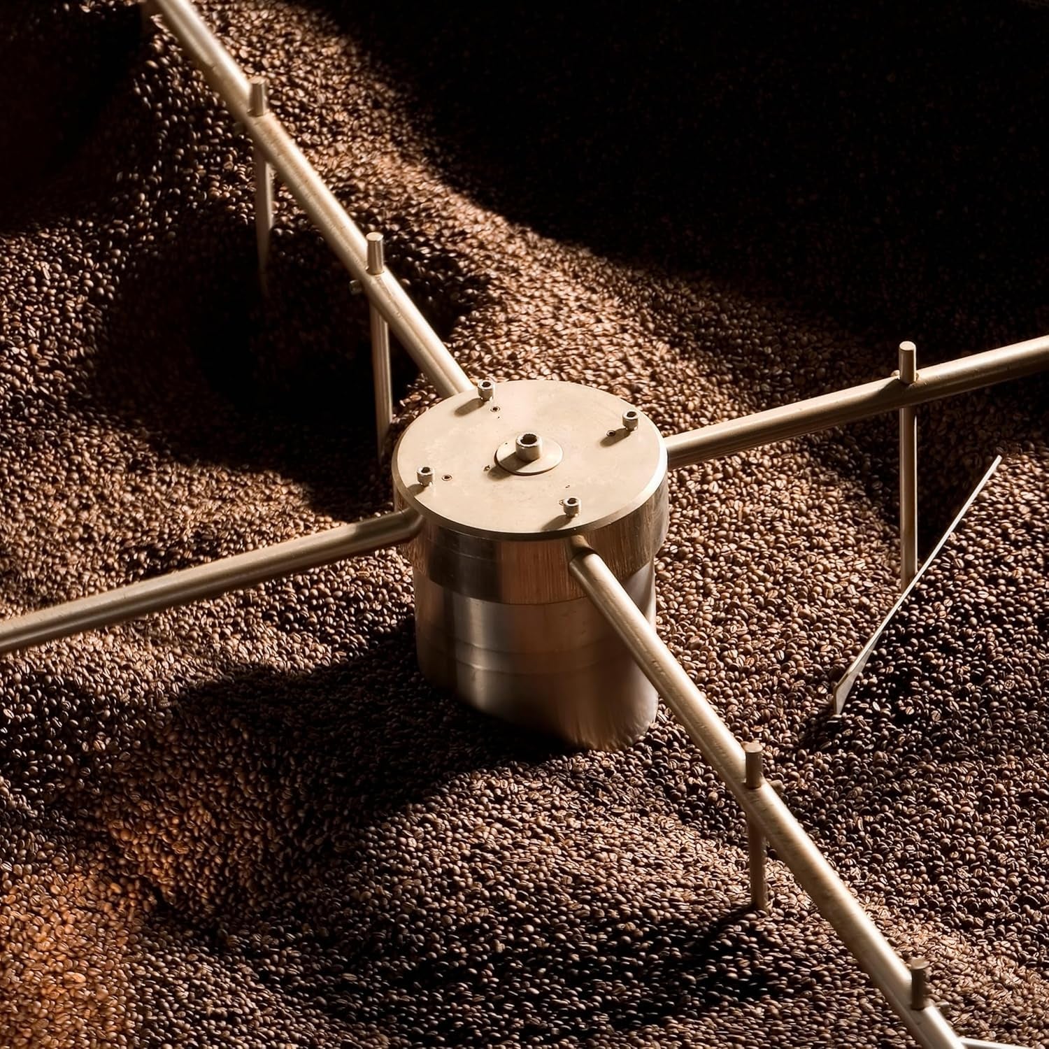 NIK CAFE' – Classico-Mischung – geröstete Kaffeebohnen. Seine Exzellenz, der Robuste. 100 % robust