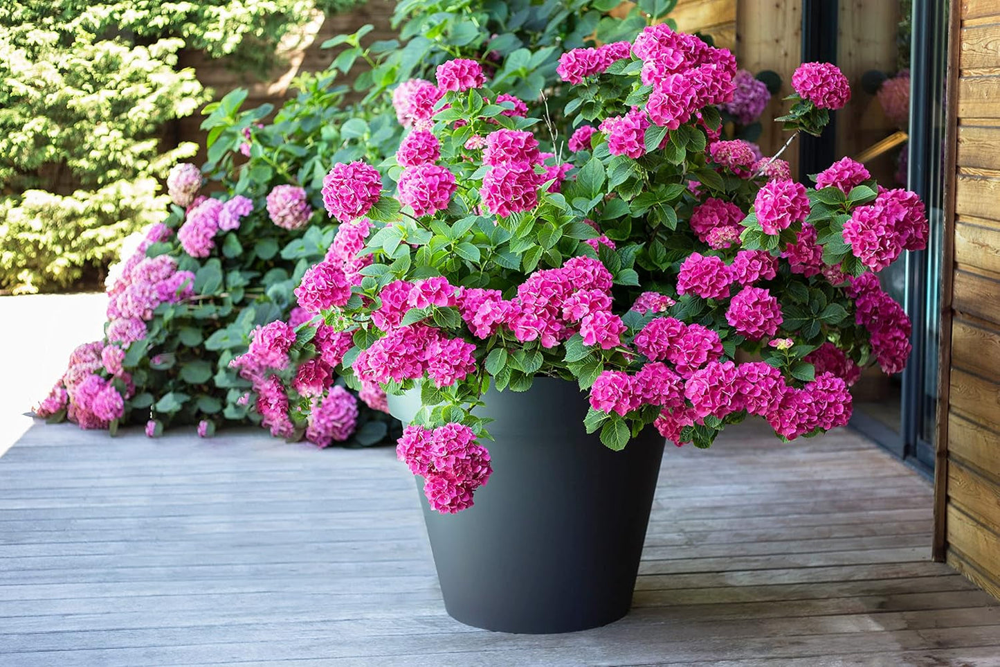 PLASTIK? Kunststoff-Blumentopf, 76 l, lebendige Farben, Zen, B 60 cm x H 47 cm