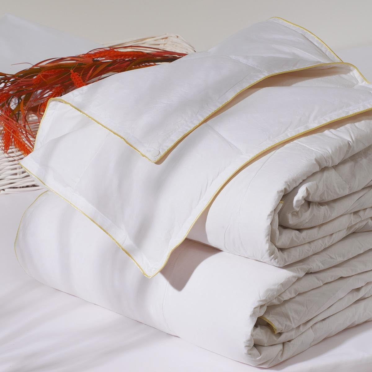 Sancarlos Vivaldi Eiderdaunen, Baumwolle, weiß, Cama 105-180 x 220 cm Bettdecken und Steppdecken Naty Shop