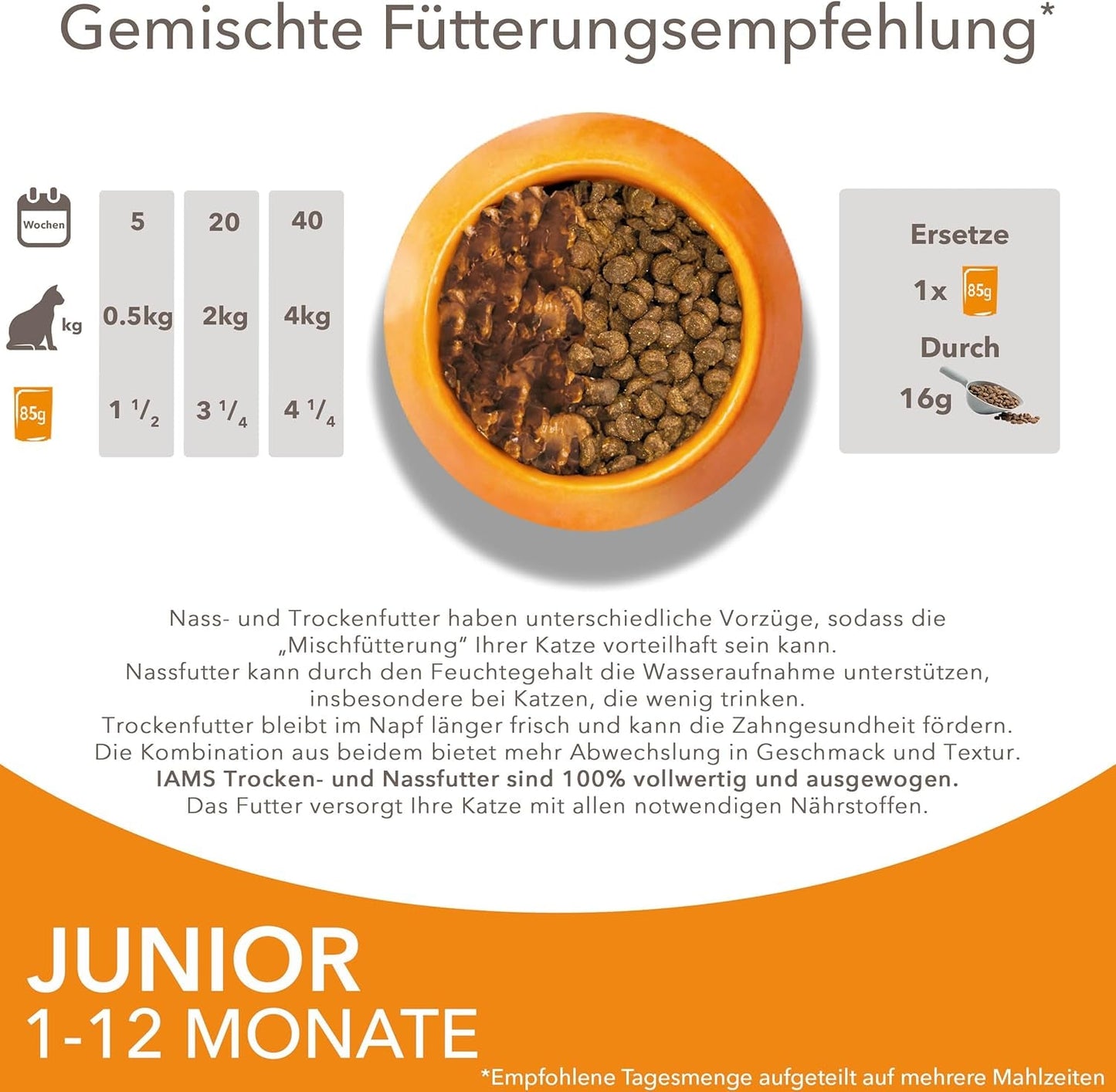 IAMS Delights Kitten Nassfutter - Multipack Katzenfutter mit Hunn in Sauce, hochwertiges Futter für Junior Kätzchen von 1-12 Monaten, 12 x 85 g