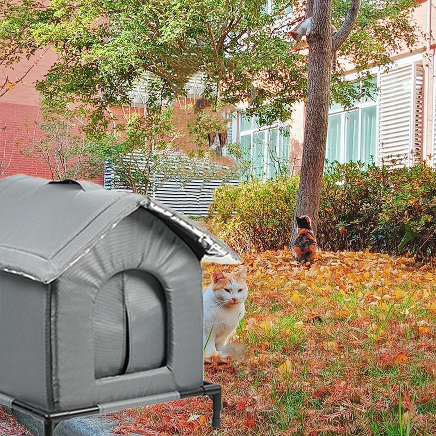 Decken und Möbel, Haustiere, Höhlen und Häuser, Katzen, Katzenbetten, Katzenbetten, Matratzen
