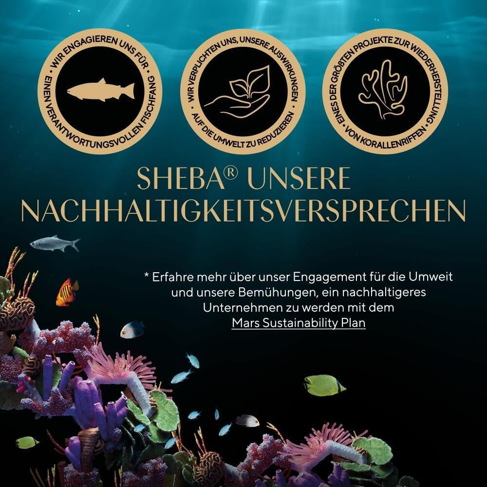 Sheba Portionsbeutel Nassfutter für Katzen, Multipack Fresh & Fine in Soße mit MSC-Huhn und Lachs, 6x6x50g - Feine Mahlzeiten für Katzen in Soße
