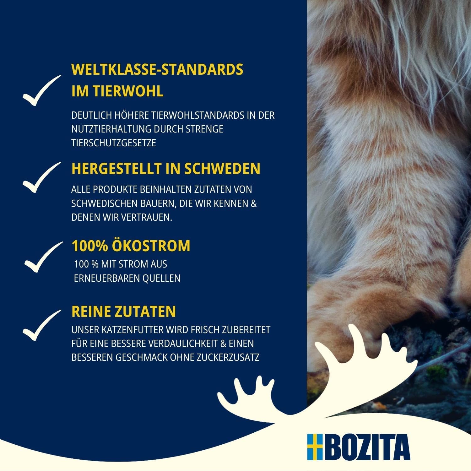 Probierpaket Bozita Tetra in Soße mit viel Huhn, Holzkohle und viel Huhn und Rindfleisch in Gelee – 4+2-6x370g Getreide- und zuckerfreies Futter für sterilisierte Katzen mit 7,5 % Eiweiß und 5 % Fett