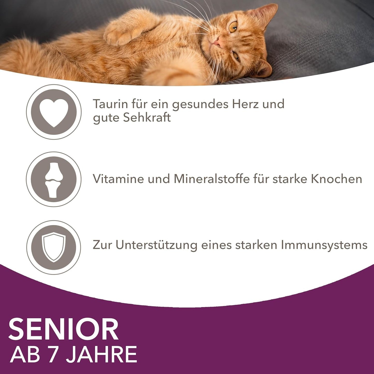 IAMS Delights Nassfutter für ältere Katzen – Multipack mit Huhn und Fisch in Soße, hochwertiges Nassfutter für Katzen ab 7 Jahren, 12 x 85g