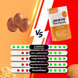 Eipulver aus Freilandeiern (1kg) | Pasteurisiertes Vollei Pulver | Ohne Zusatztoffee | Glutenfrei & laktosefrei | Vakuumverpackung im Zip-Beutel