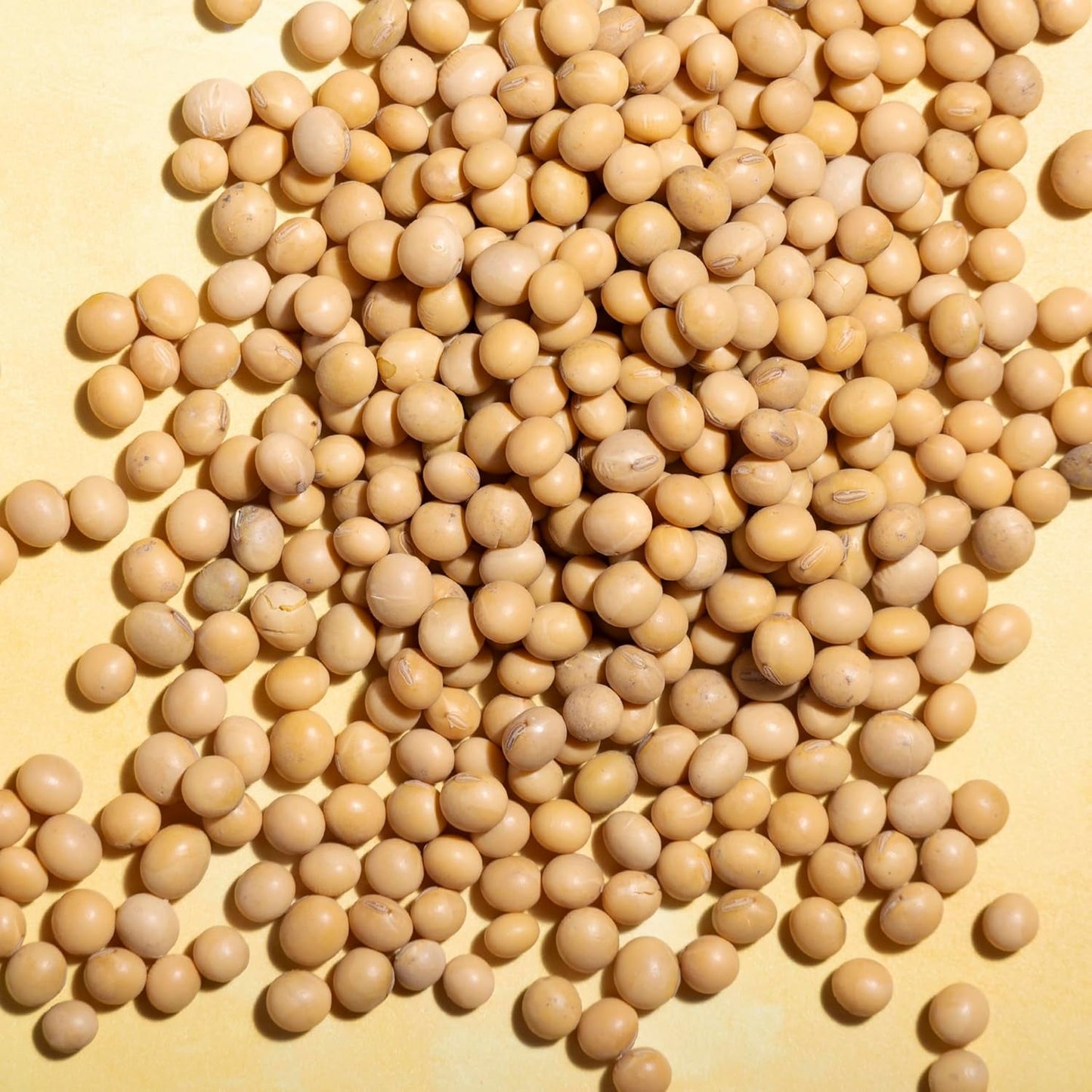 Wholefood Earth Soja – gentechnikfrei – natürlich – vegan – milchfrei – ohne Zuckerzusatz 1 kg