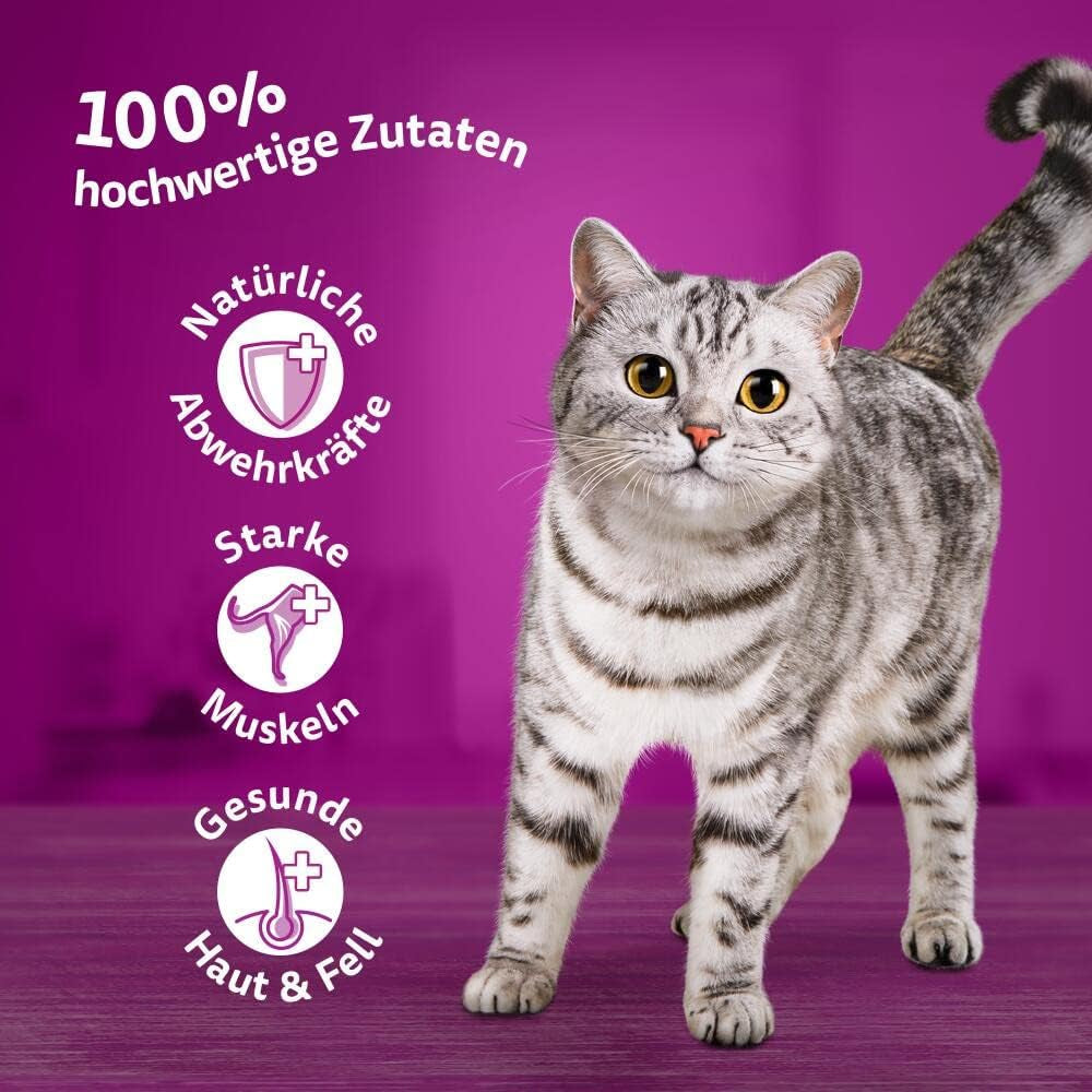 Whiskas 1+ Nassfutter für Katzen mit Huhn in Gelee, 28x85g (1 Packung) – Hochwertiges Nassfutter für ausgewachsene Katzen in 28-Portionen-Beuteln