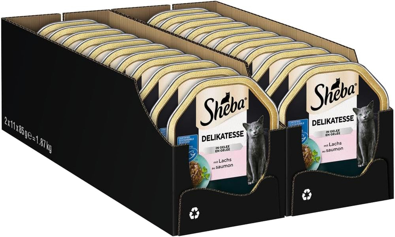Sheba Nassfutter für Katzen, Delikatesse in Lachsgelee, 2 x 11 x 85 g