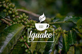 Iguaque-Kaffee 1000gr | Premium Kaffee ganze Bohnen 100% Arabica aus Kolumbien | Familienbetrieb - Single Origin Kaffeebohnen - Nachhaltige eigene Plantage im Hochland - Kräftiges Aroma