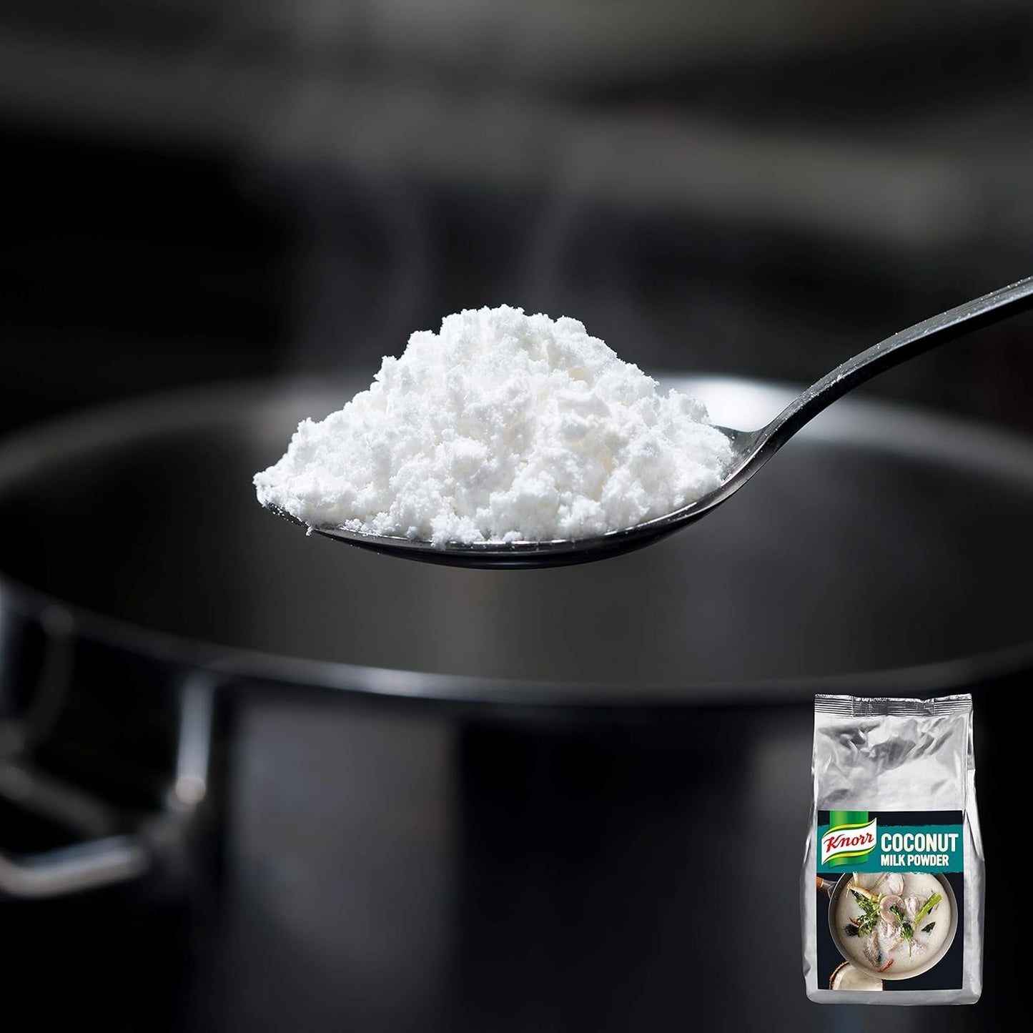 Knorr Kokosmilch Pulver (Milchpulver aus 20 frischen Kokosnüssen, ergibt 6,6 Liter Kokosmilch) 1er Pack (1 x 1 kg)