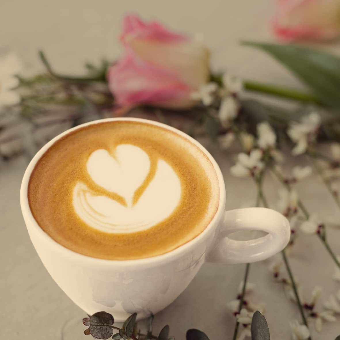 - Mokka 1000g | Kräftiger Kaffee für Schümli und Espresso aus Vollautomaten | Ganze geröstete Kaffeebohnen | Mit 90 % Arabica-Bohnen