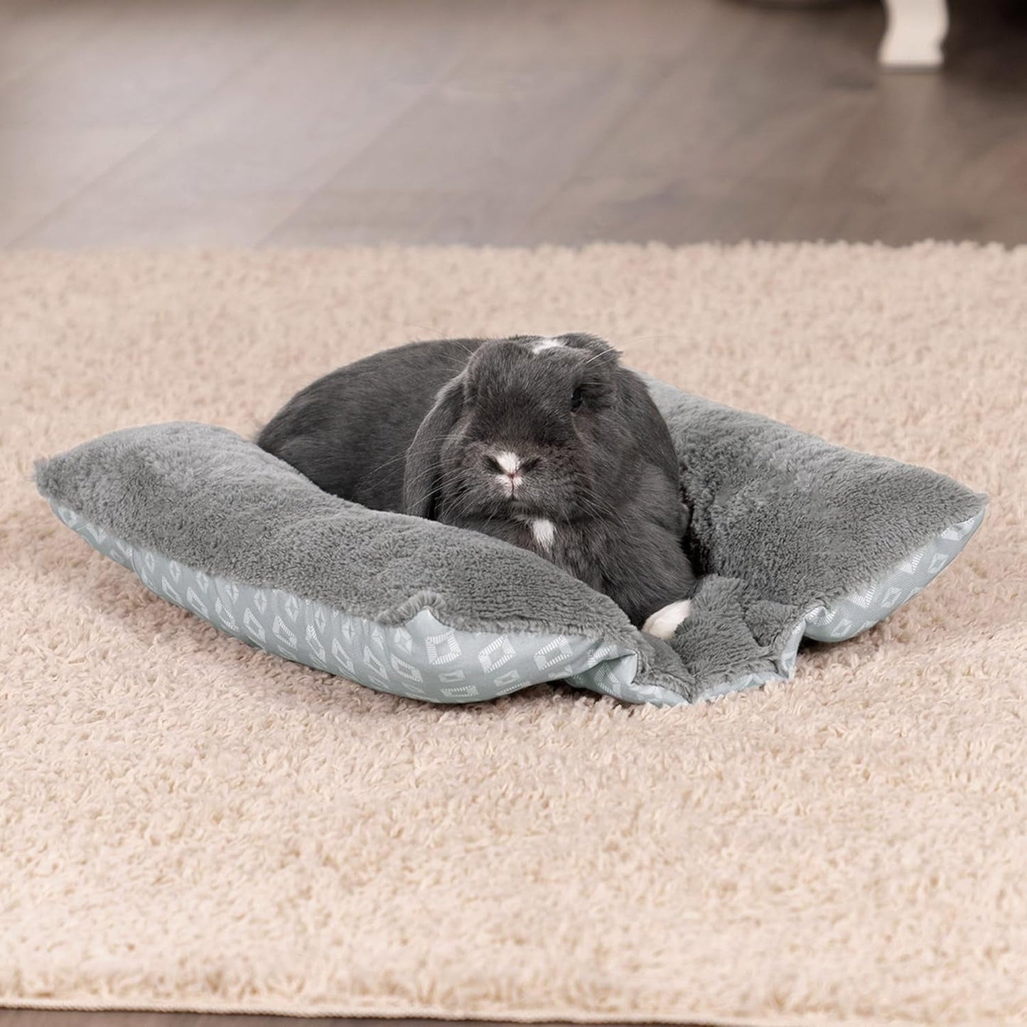 Betten, Decken & Möbel, Haustiere, Katzen, Katzenbetten, Katzenbetten, Matratzen