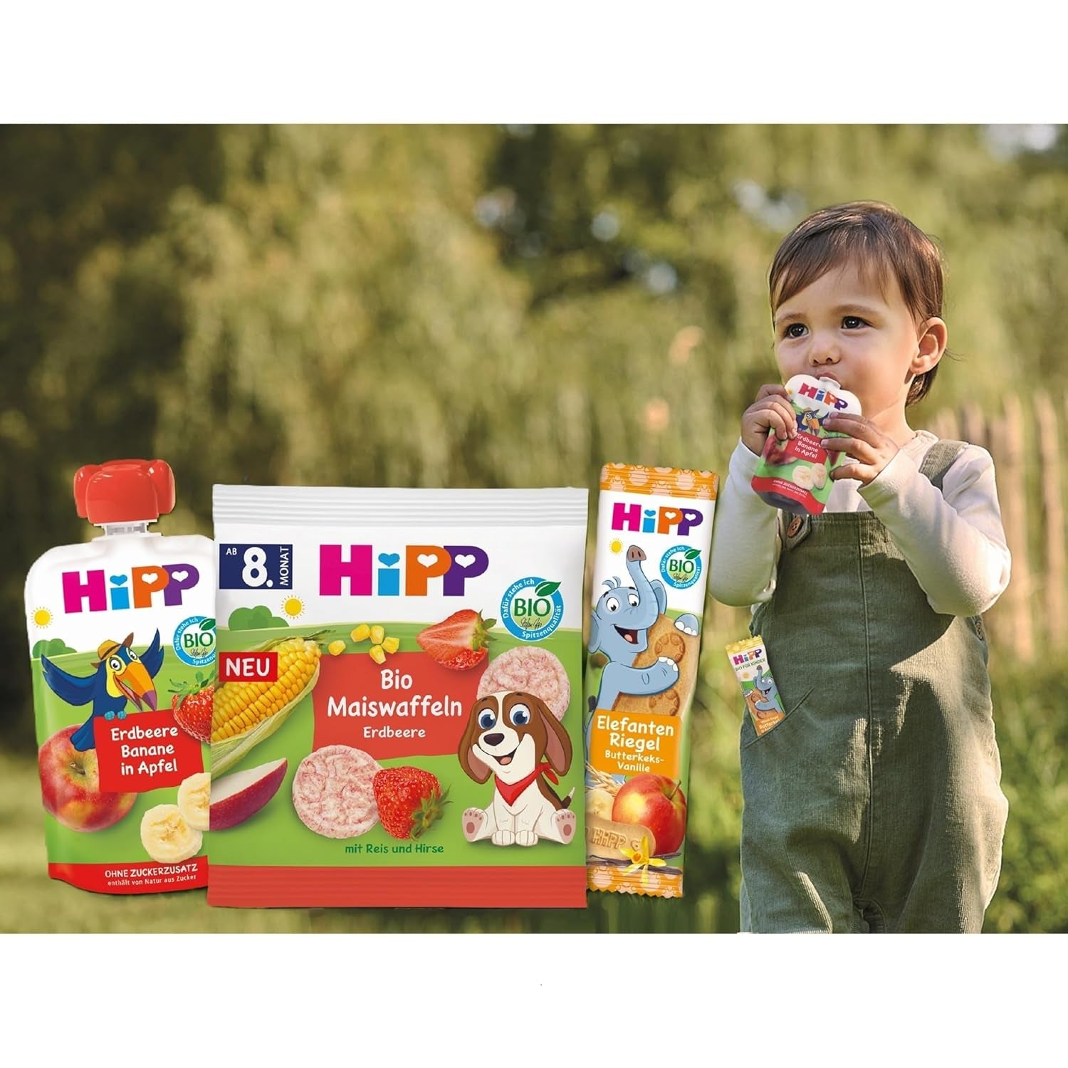 HiPP Haferflocken-Vanille-Herz-Mini-Kekse (12 x 40 g), ab 1 Jahr, Bio-Snackriegel in Herzform, reich an Getreide und Ballaststoffen, nur mit Früchten gesüßt, in bester Bio-Qualität