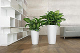 Pflanzgefäß LECHUZA Rondo Premium 32 Mattweiß | Pflanzsäule mit Bewässerungssystem, Wasserstandsanzeige und Pflanzeinsatz | Mattes Finish | Ø 32,5 x 56,5 cm | 15786