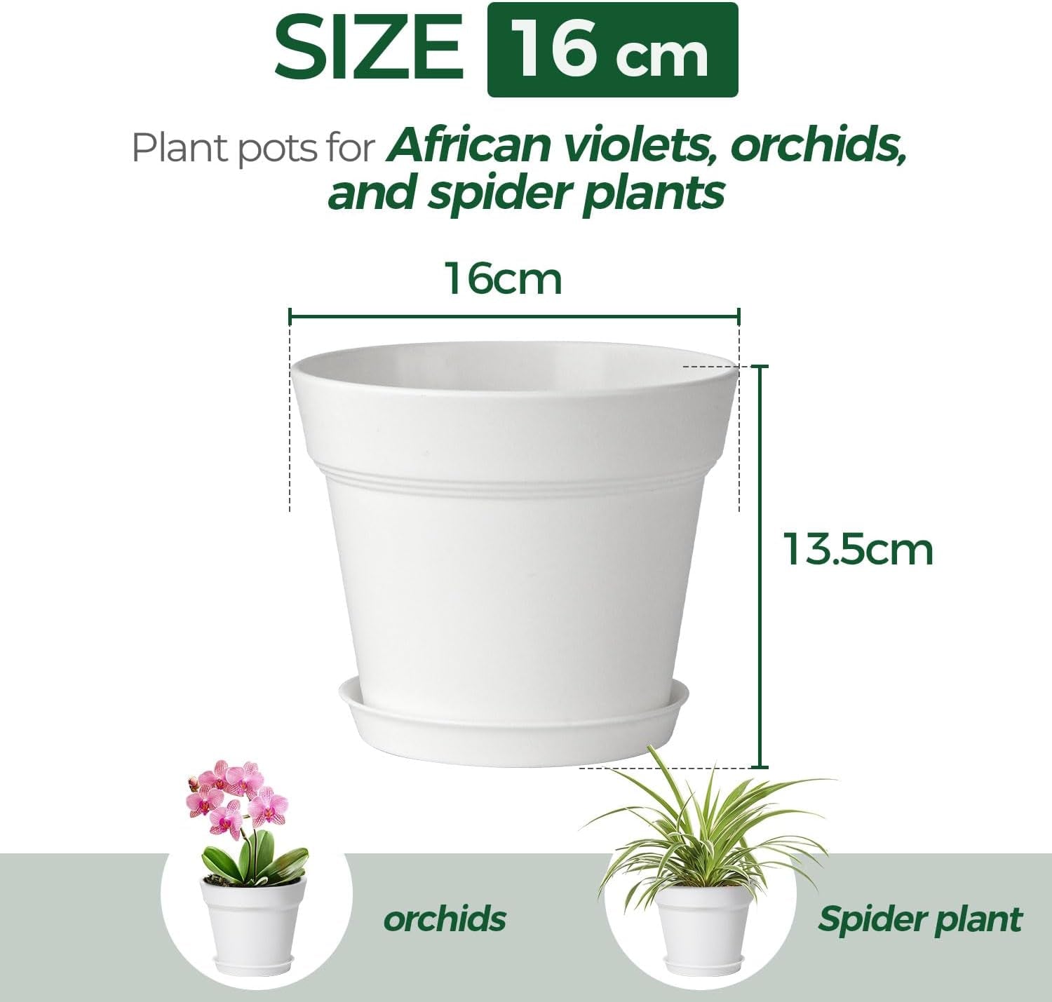 T4U 16 cm Kunststoff-Blumentopf mit Untersetzer, Set mit 6 Kunststoff-Kräutertöpfen mit mehreren Drainagelöchern, runder Topf für Sukkulenten im Innen- und Balkonbereich, Kakteen, weiß