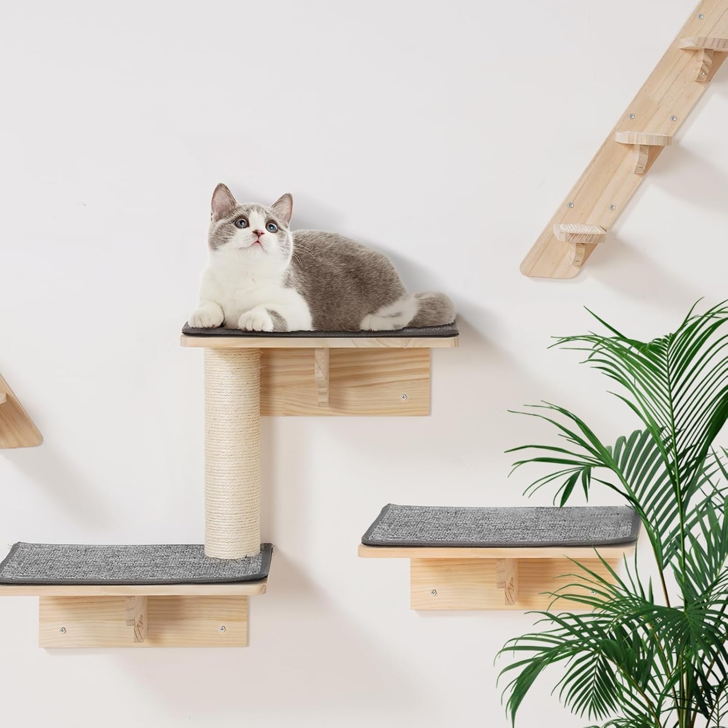 Decken und Möbel, Haustiere, Katzen, Katzenbetten, Katzenbetten, Matratzen