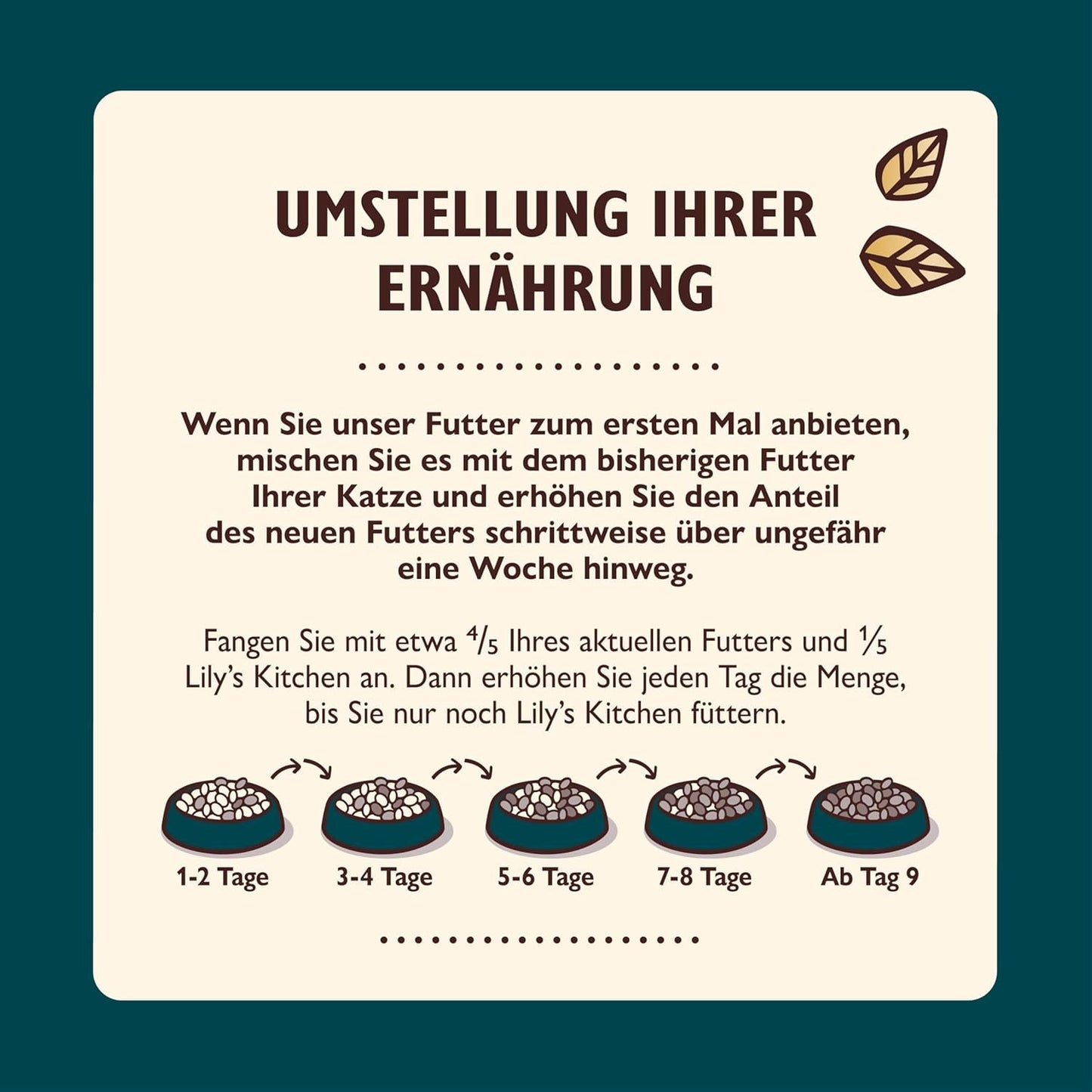Lily's Kitchen Aus Naturichen Ingredient hermestellung Zerkleinerte Filets in Gelee mit Hühnchen und Lachs Ausgewachsenes Nassfutter für Katzen 70 g Dose
