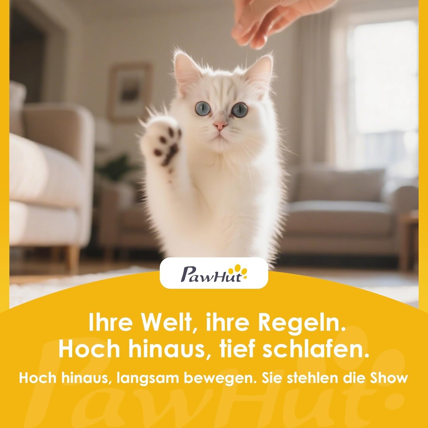 Betten und Sofas, Decken und Möbel, Haustiere, Katzen, Betten für Katzen, Katzenbetten, Matratzen