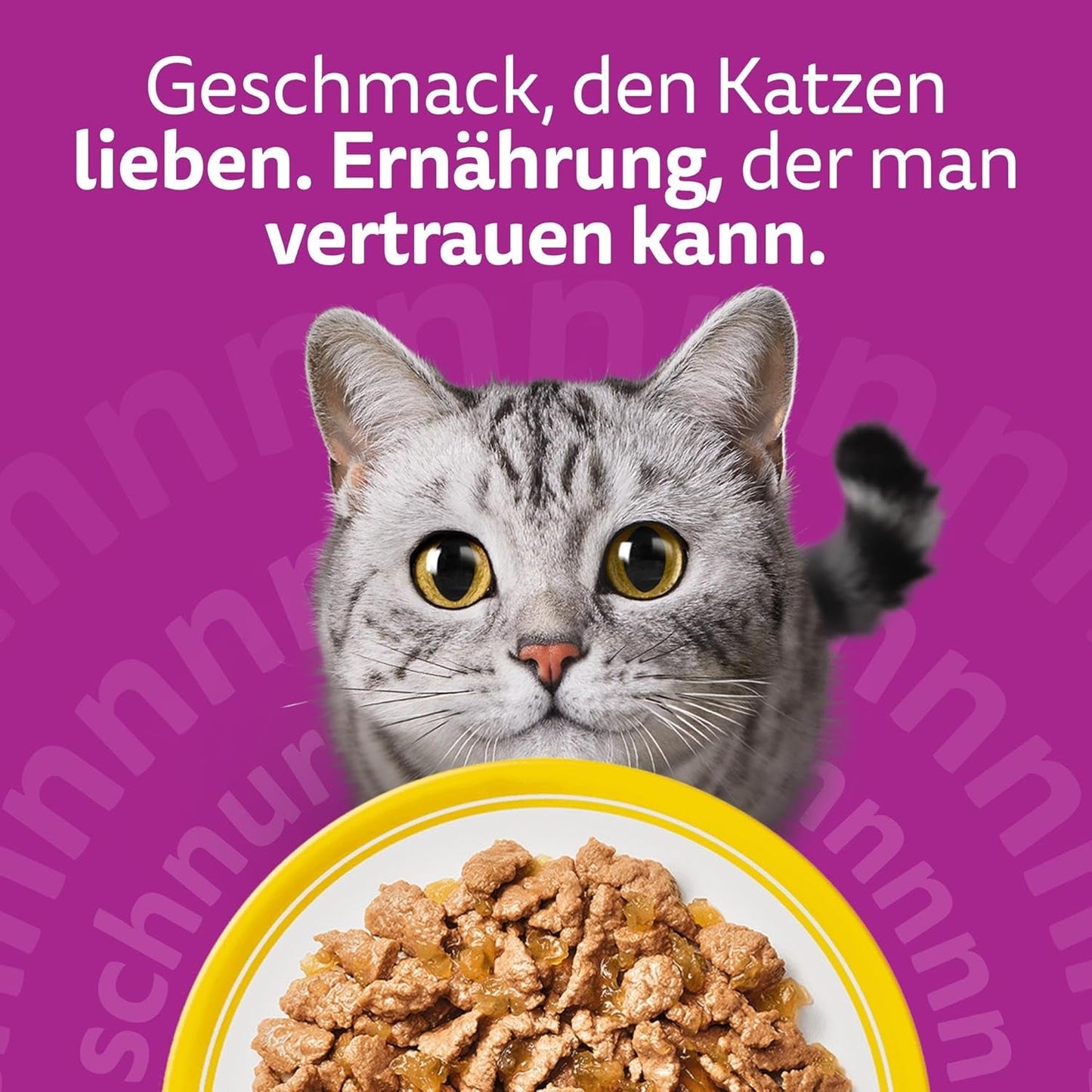 WHISKAS Nassfutter für Katzen in Gelee 120 x 85g Auswahl an Geflügel