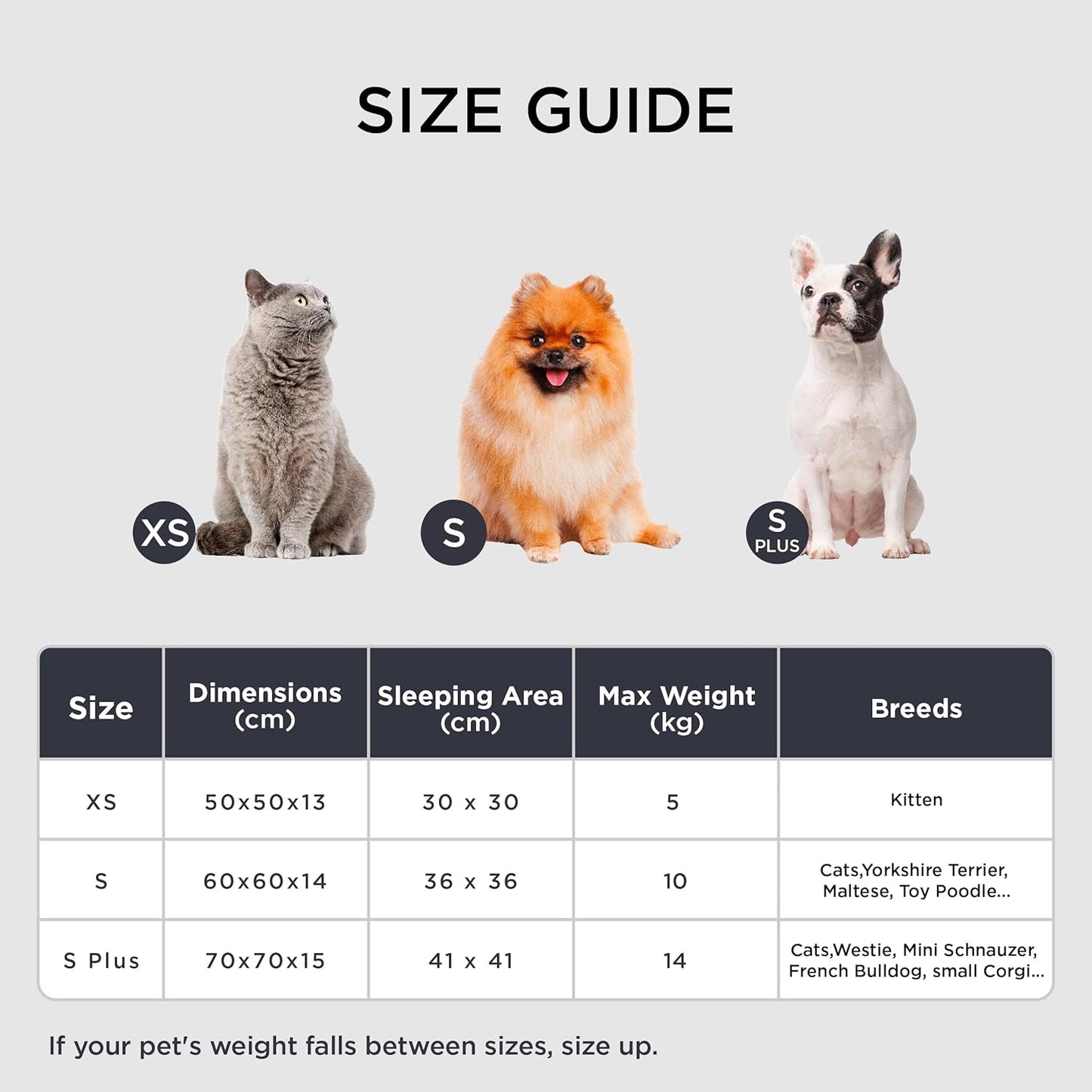 Betten und Sofas, Decken und Möbel, Haustiere, Katzen, Betten für Katzen, Katzenbetten, Matratzen