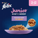 Felix As Good As It Looks Junior Nassfutter in Gelee für Kätzchen, sortierte Mischung, 6er-Pack (6 x 12 Beutel à 85 g)
