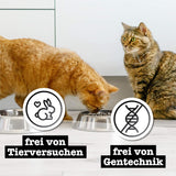 Nassfutter für Katzen Catz Finefood Purrrr mit Monoprotein und Lachs Nr. 105, für Katzen mit empfindlicher Verdauung, 16 x 80 g