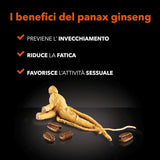 - 1 Verpackung mit 500 Gr Ginseng mit braunem Zucker-Löslichem Kaffeepulver zum Süßen, Ideal zum Hinzufügen zu heißem Wasser, Glutenfrei, Laktosefrei und Gentechnikfrei