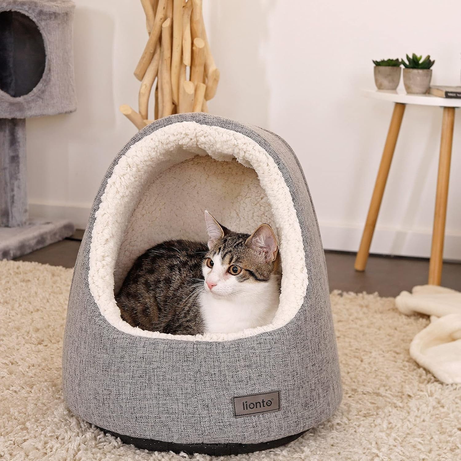 Decken und Möbel, Haustiere, Höhlen und Häuser, Katzen, Betten für Katzen, Katzenbetten, Matratzen